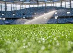 亚锦赛,沙点以点球,逆转韩国,世界杯直播,2026世界杯,赛事直播,直播平台,最新消息