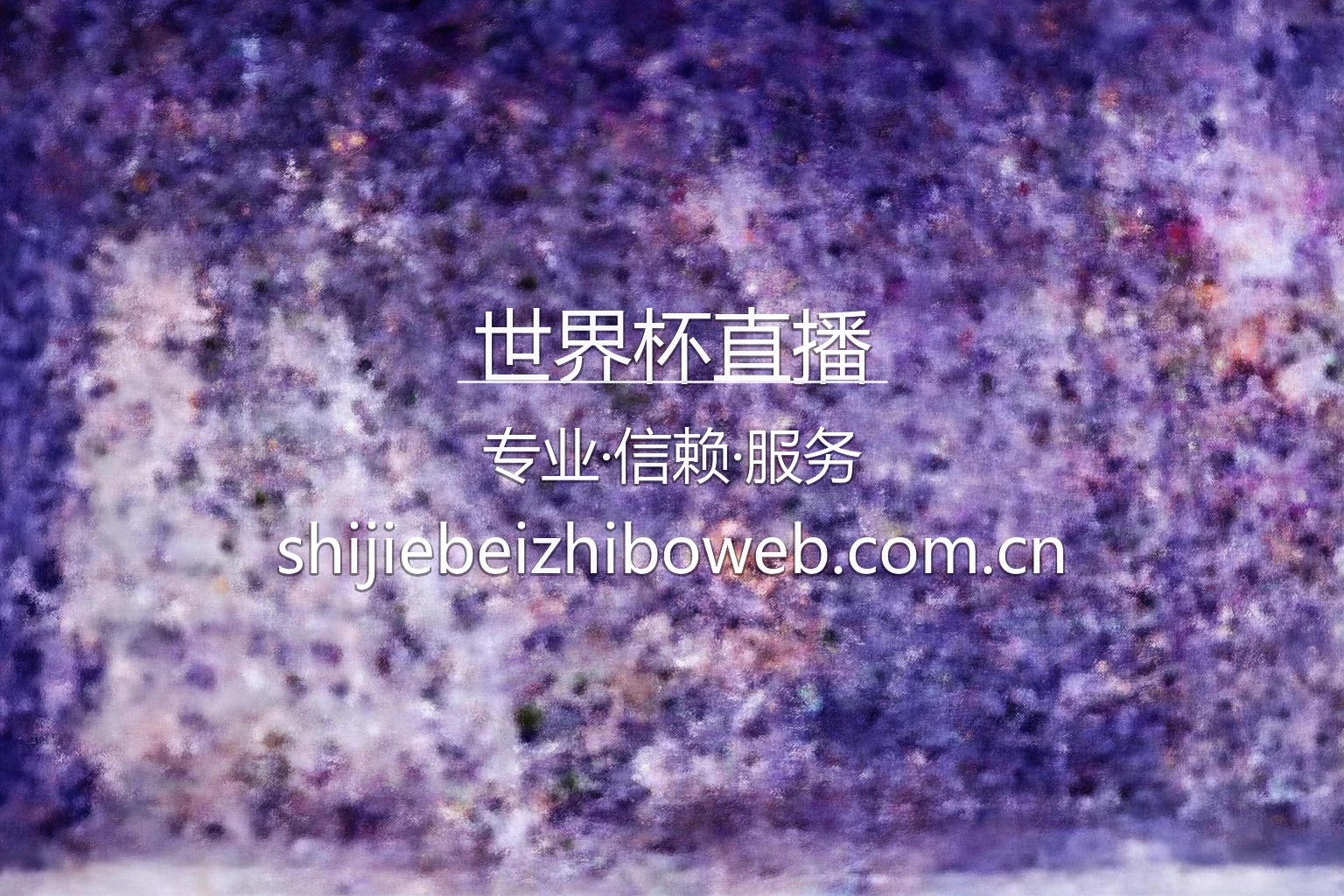 2026世界杯直播官方大图